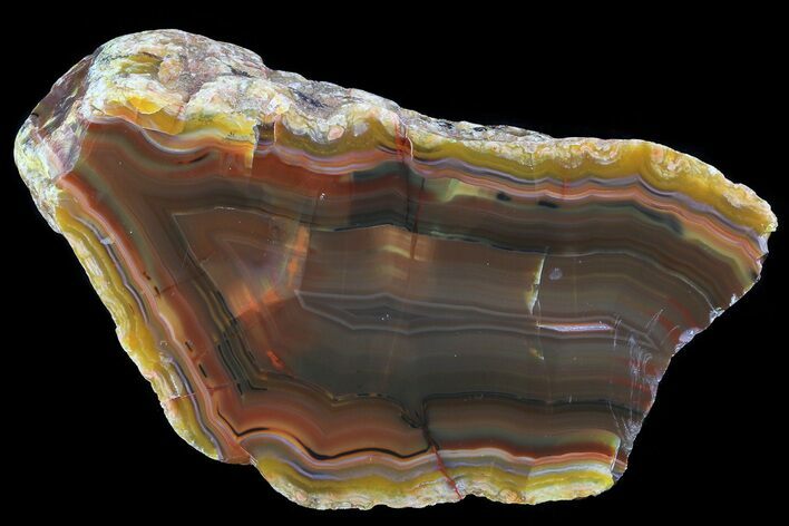 Beautiful Condor Agate From Argentina - Cut/Polished Face #79452